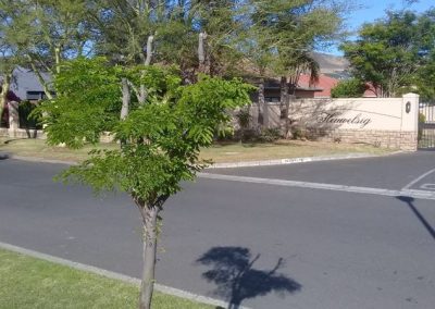 Heuwelsig Own Development